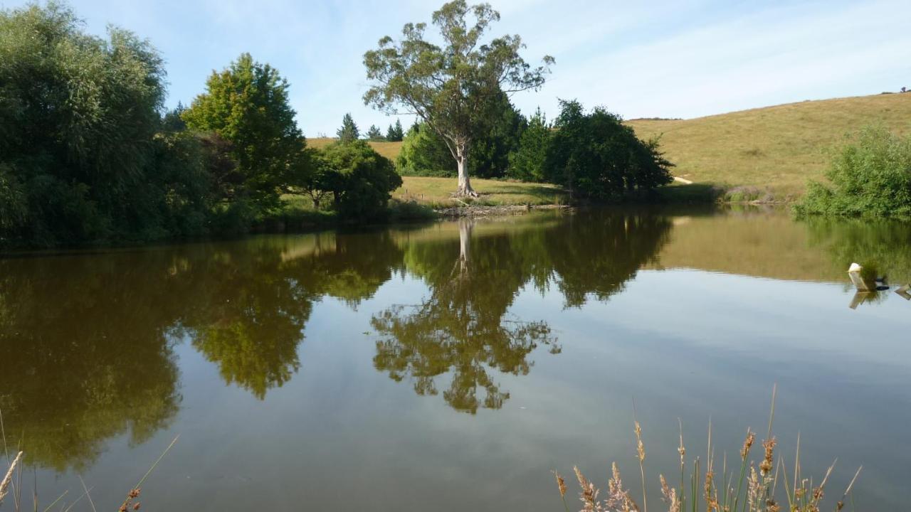 Tasman Farmstay Retreat Glenmhor Zewnętrze zdjęcie
