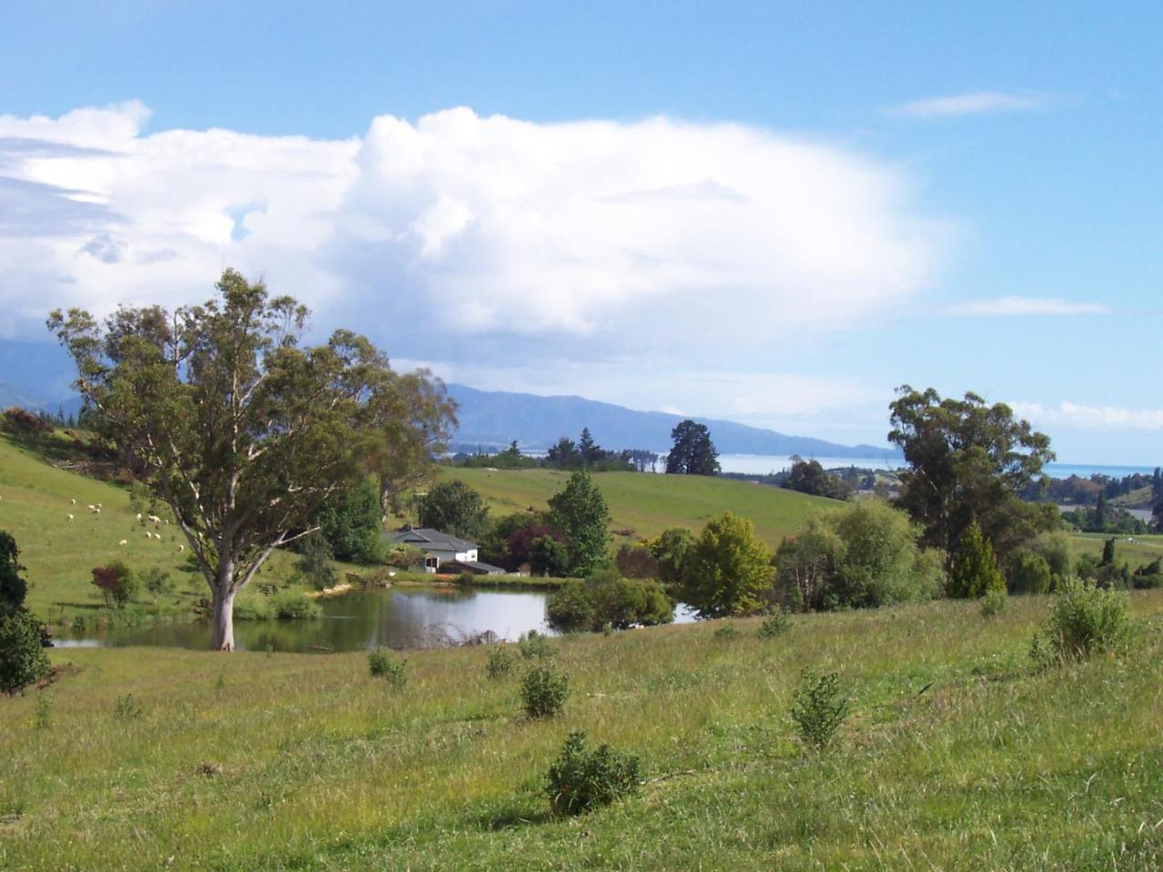 Tasman Farmstay Retreat Glenmhor Zewnętrze zdjęcie